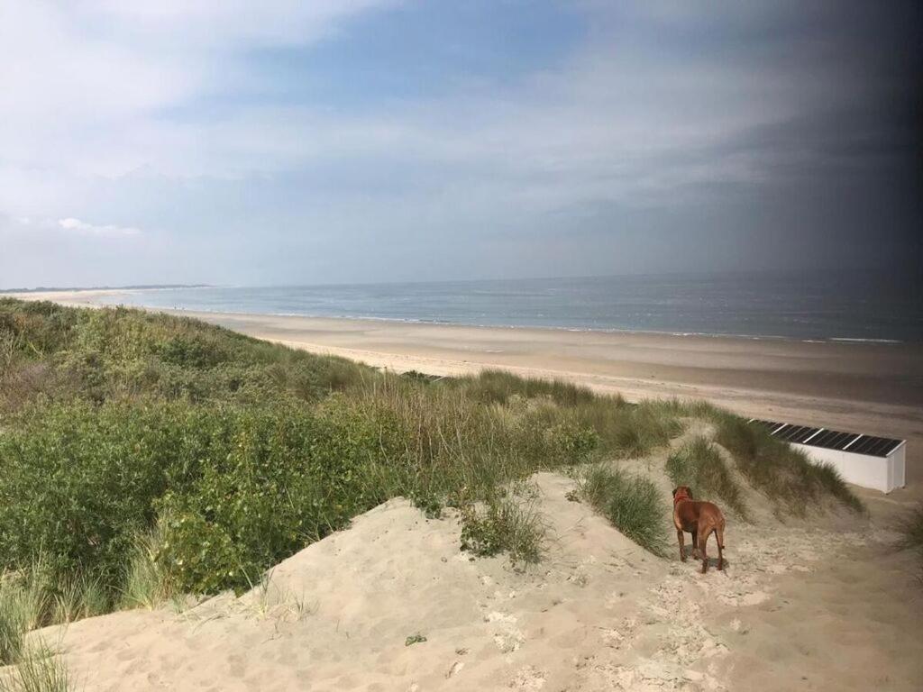 On The Comfortable Vakantiehuis