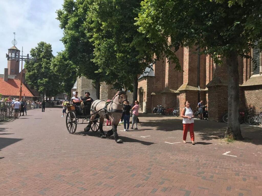 Vakantiehuis On The Comfortable Kamperland